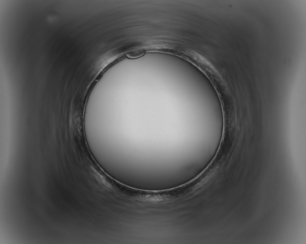 X0000086311177200704131625