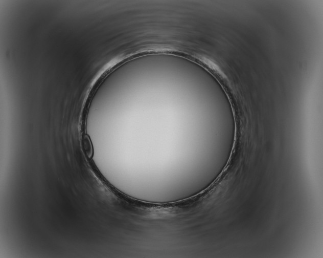 X0000086311181200704131625