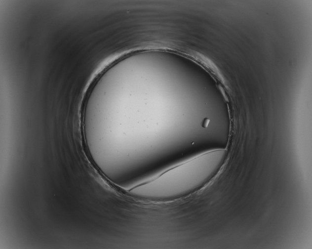 X0000086311184200704131625