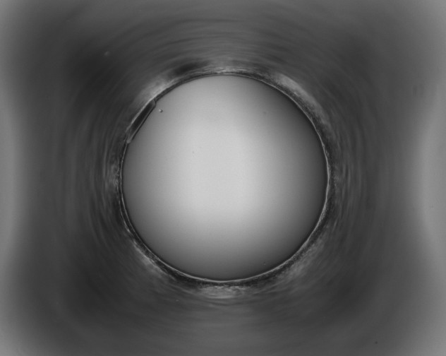X0000086311185200704131625