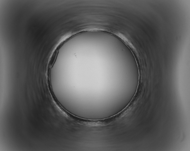 X0000086311189200704131625
