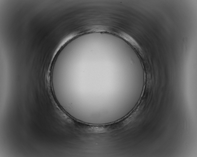 X0000086311190200704131624