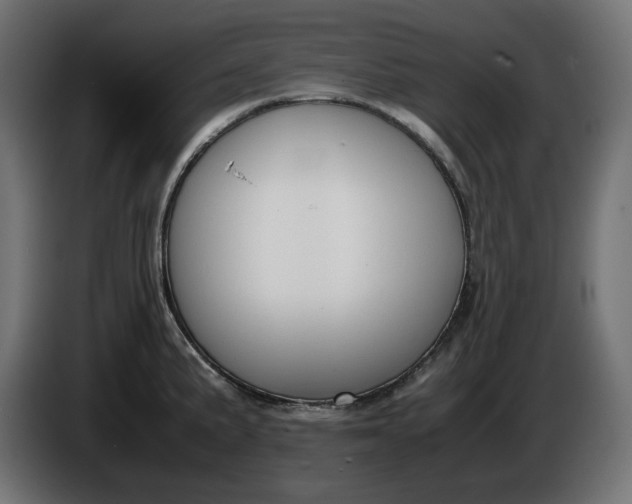 X0000086311191200704131624