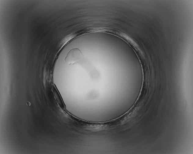X0000086311193200704131624