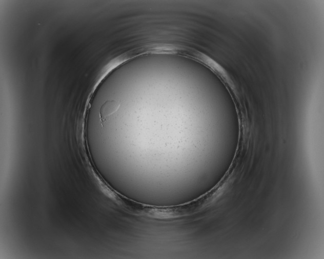 X0000086311194200704131624