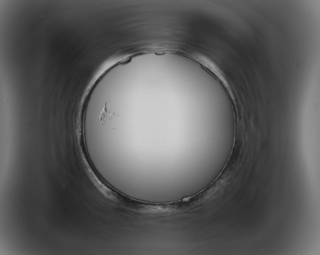 X0000086311195200704131624