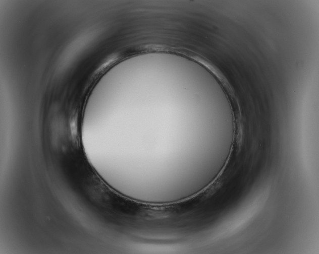 X0000086311198200704131624