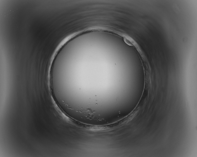 X0000086311199200704131624