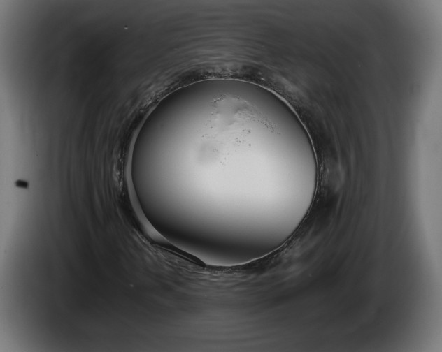 X0000086311202200704131624