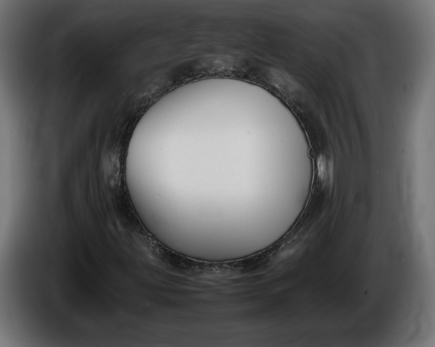 X0000086311203200704131624
