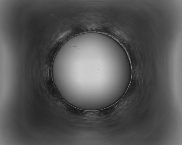 X0000086311205200704131624