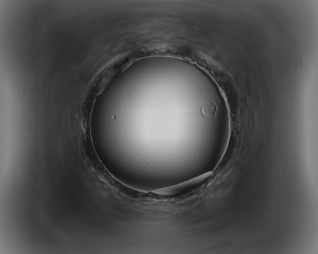 X0000086311206200704131624