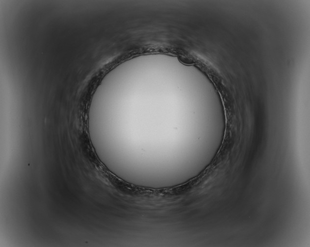 X0000086311207200704131624