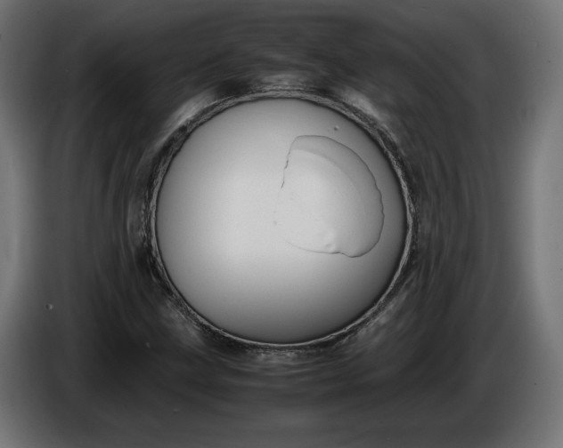 X0000086311211200704131624