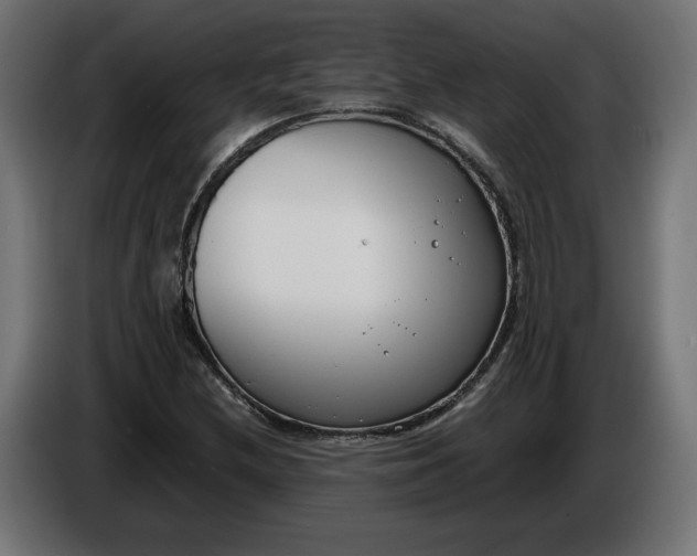 X0000086311212200704131624