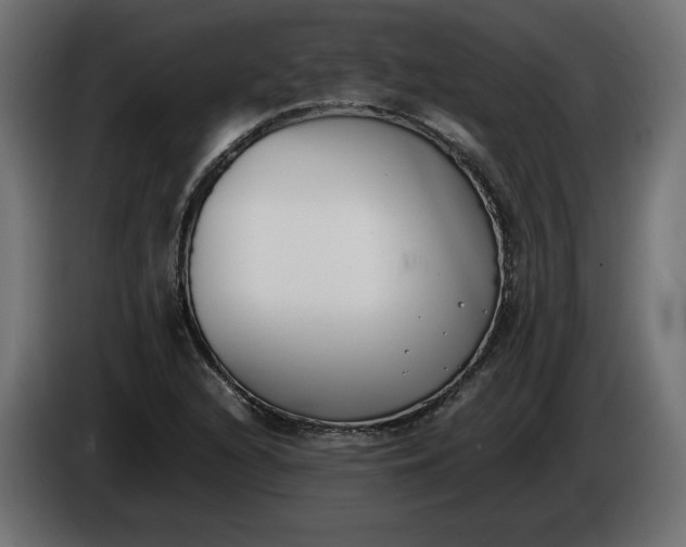 X0000086311216200704131624
