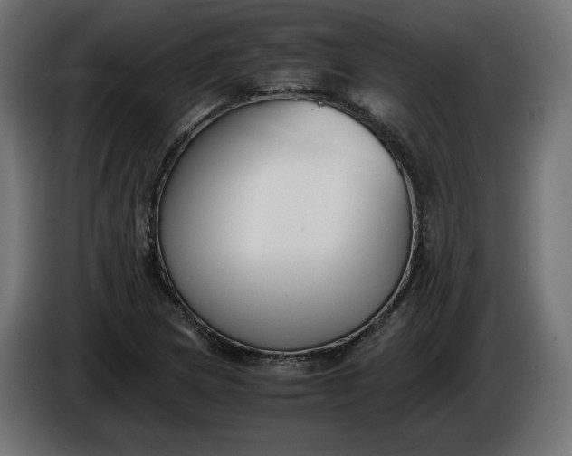 X0000086311217200704131624