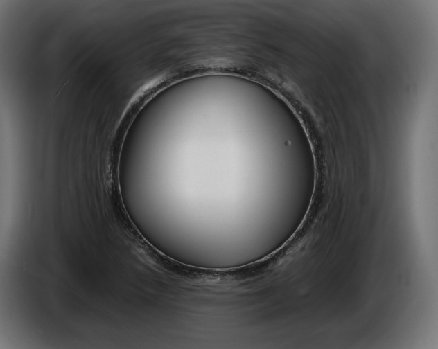 X0000086311218200704131624
