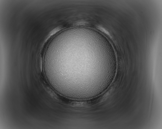 X0000086311219200704131624