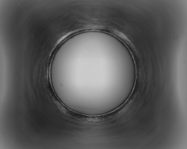 X0000086311220200704131624