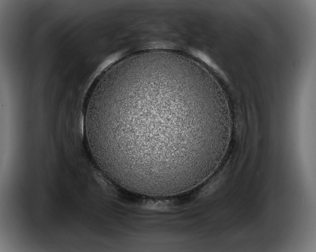 X0000086311221200704131624