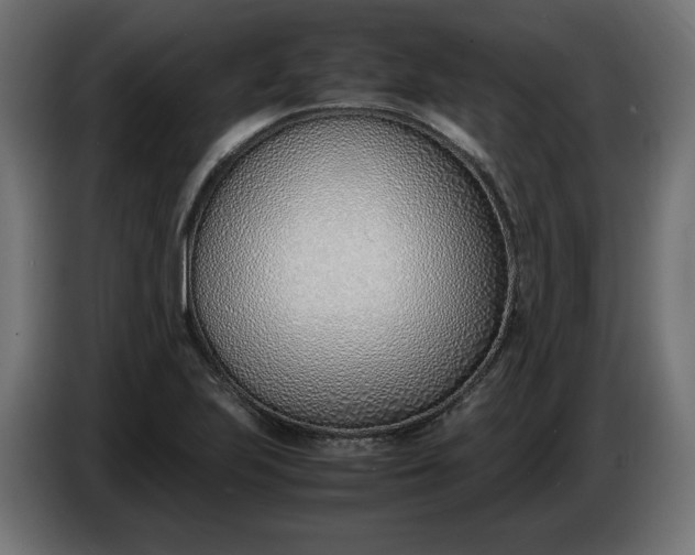 X0000086311223200704131624