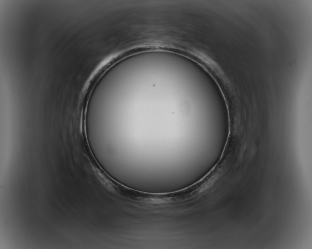 X0000086311224200704131624
