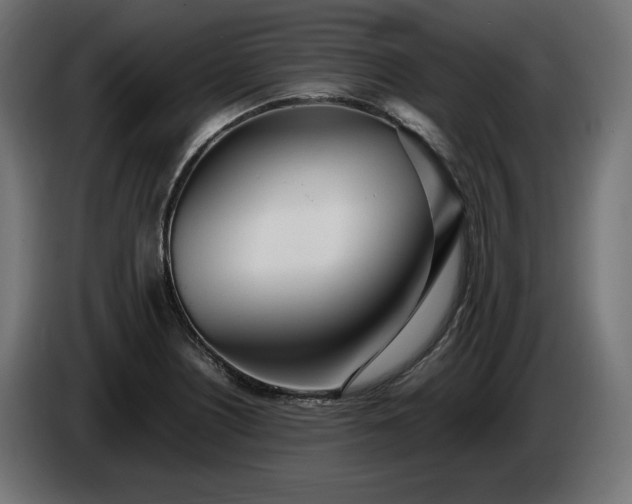 X0000086311226200704131624