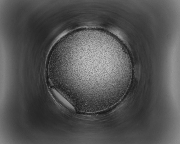 X0000086311229200704131624