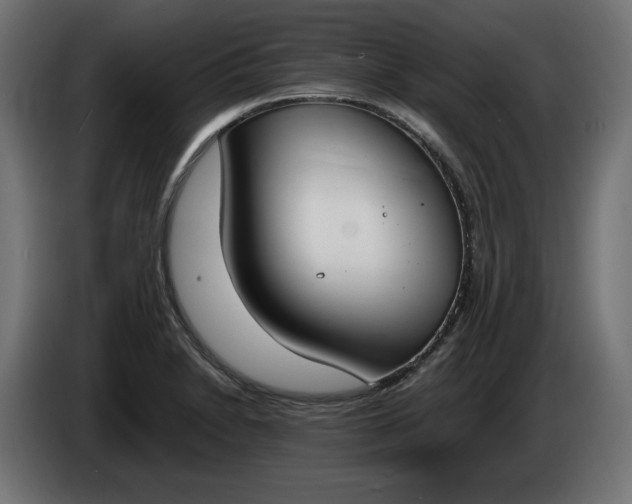 X0000086311230200704131624