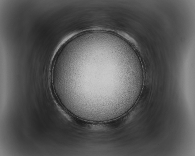 X0000086311231200704131624
