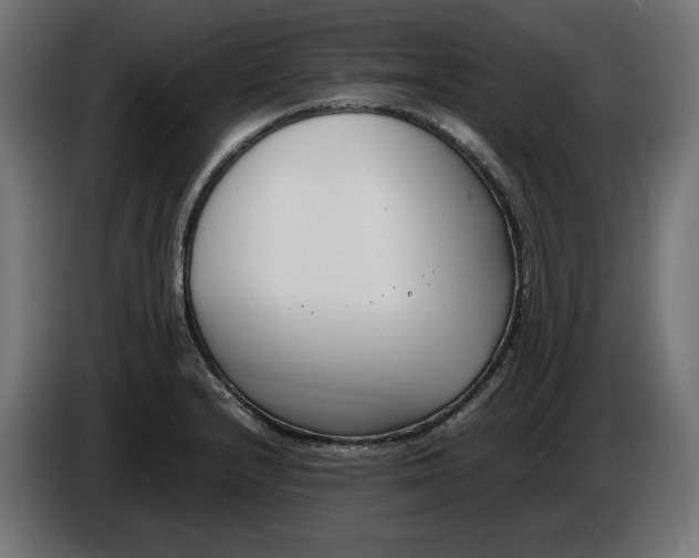 X0000086311232200704131624