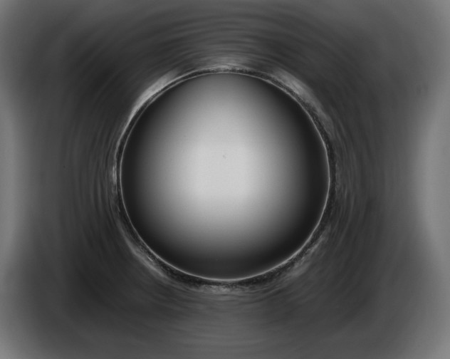 X0000086311234200704131624