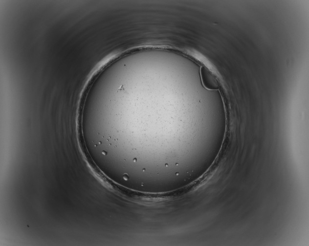 X0000086311237200704131624