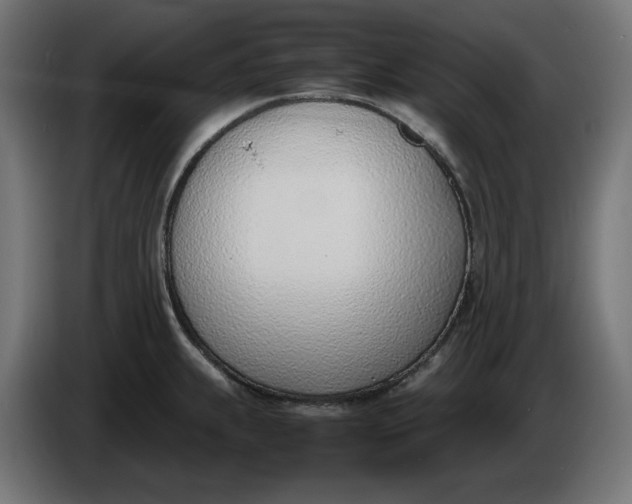 X0000086311239200704131624