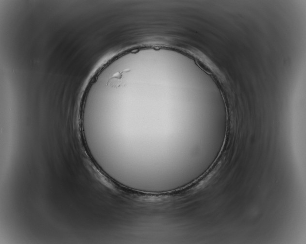 X0000086311240200704131624