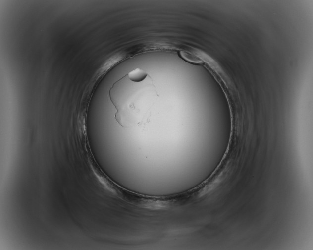 X0000086311241200704131624