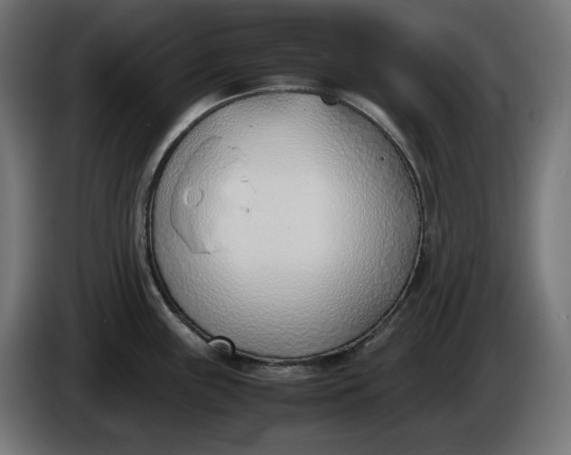 X0000086311243200704131624