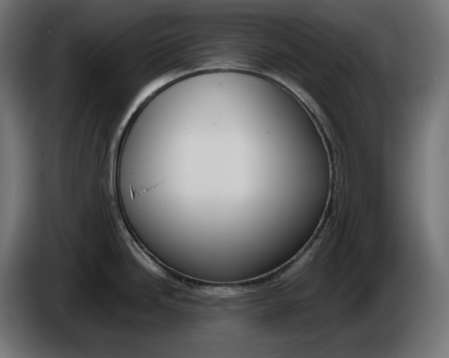 X0000086311246200704131624
