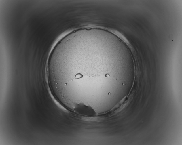 X0000086311247200704131624