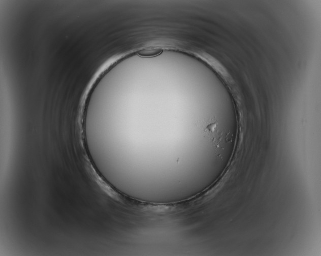 X0000086311248200704131624