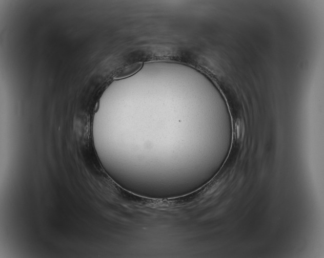 X0000086311251200704131624