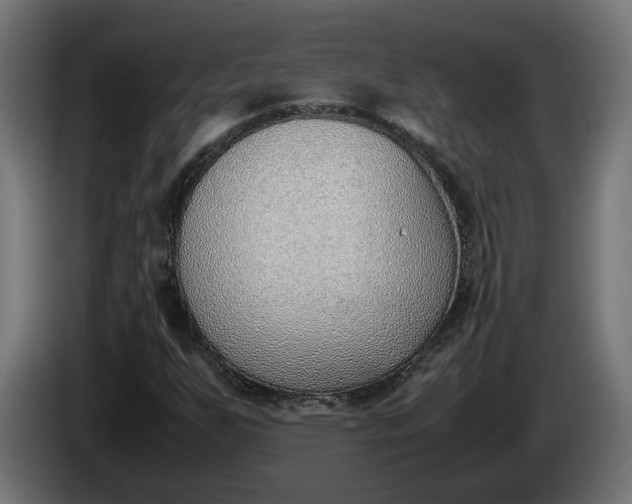 X0000086311255200704131624