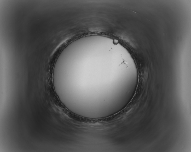 X0000086311256200704131624