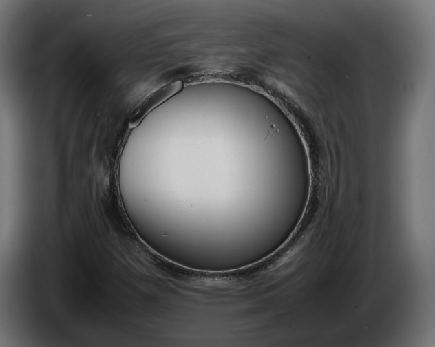 X0000086311257200704131624