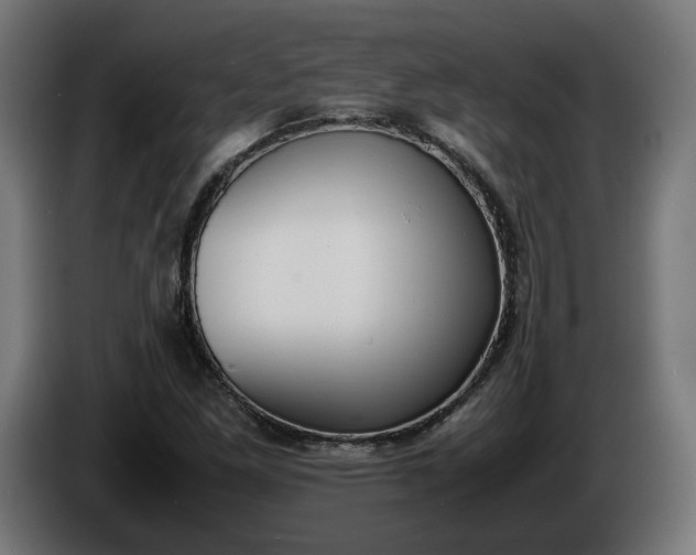 X0000086311261200704131623