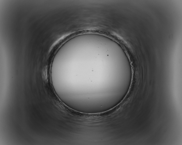 X0000086311262200704131623