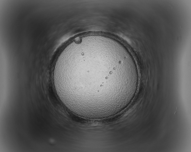 X0000086311263200704131623