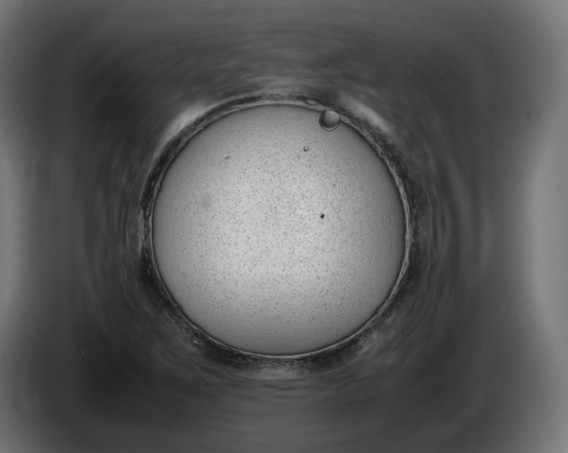 X0000086311267200704131623