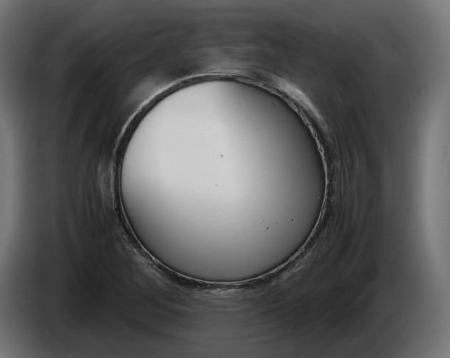 X0000086311268200704131623